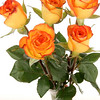 Just Roses : 